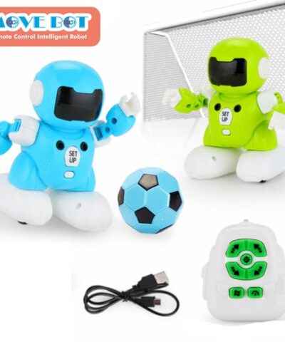 Remote Control Soccer Robot Toy