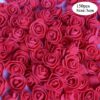 150pcs-flower-red