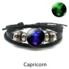 capricorn-2