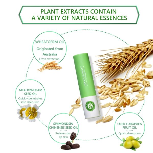 Lip Balm Plant Essence Nourishing Moisturizing Brightening Prevents Chapped Lip 3