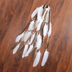 Indian Festival Tassel Feather Hairpins 3