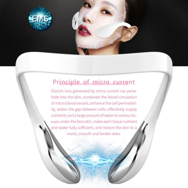 Electric V Face Lifting Machine Facial Slimming Shaping Microcurrent LED Light Device 4