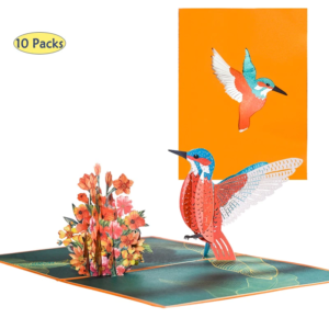 10 Packs 3D Hummingbird Pop-Up Birthday Cards Handmade Gifts